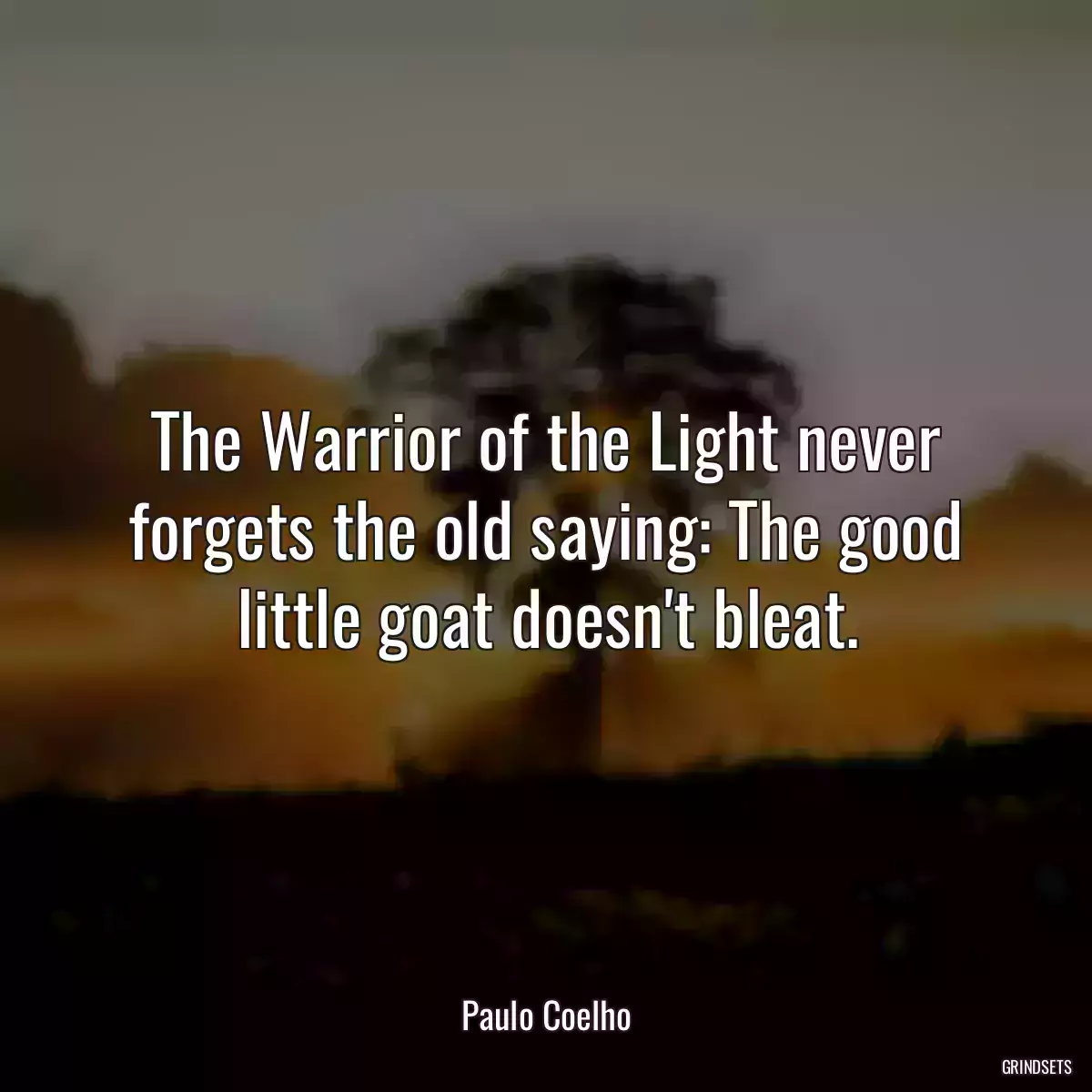 The Warrior of the Light never forgets the old saying: The good little goat doesn\'t bleat.