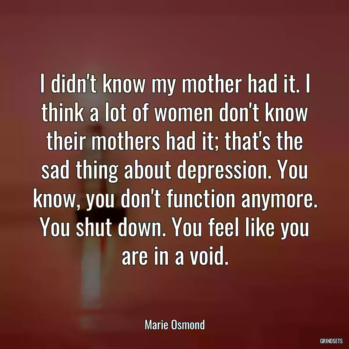 I didn\'t know my mother had it. I think a lot of women don\'t know their mothers had it; that\'s the sad thing about depression. You know, you don\'t function anymore. You shut down. You feel like you are in a void.