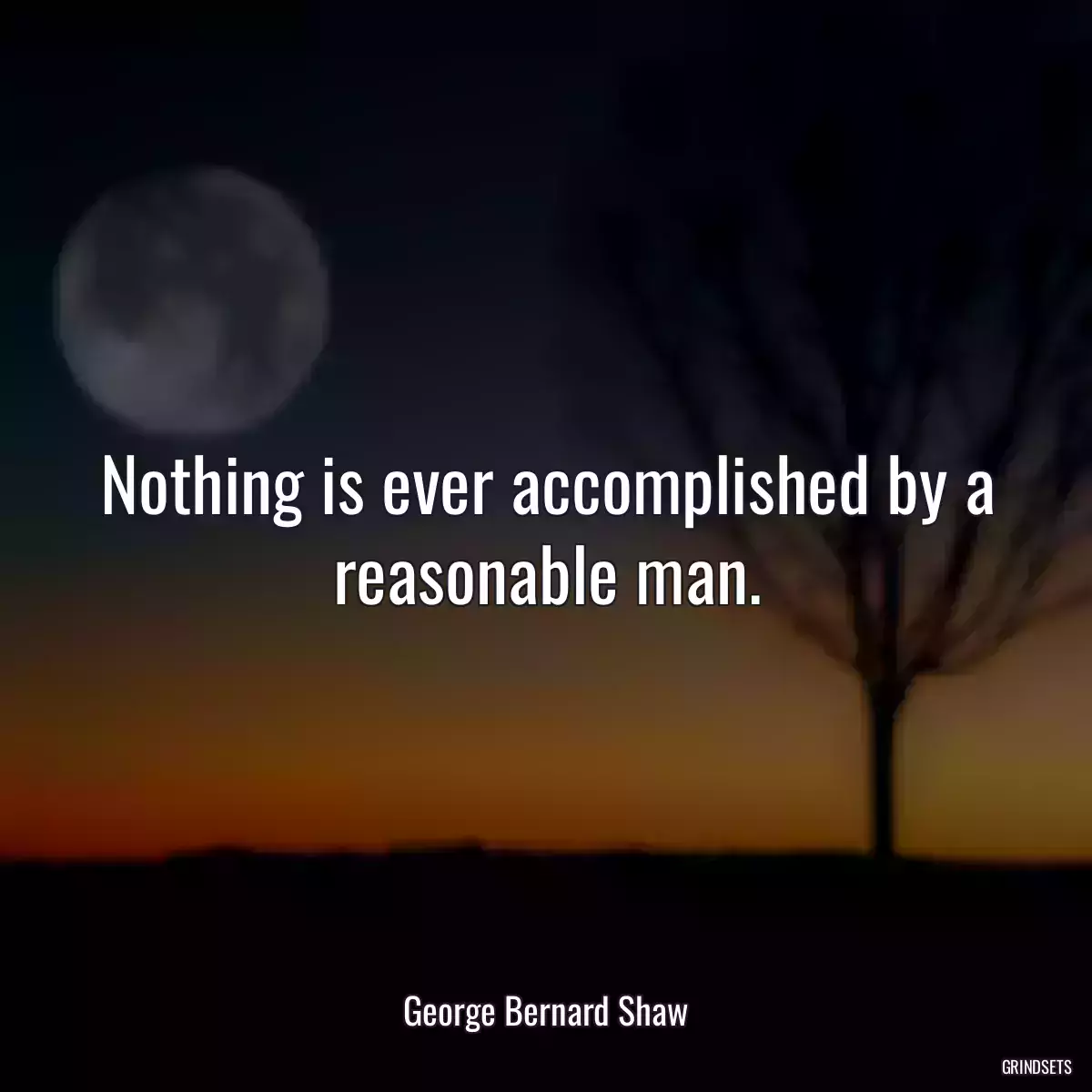 Nothing is ever accomplished by a reasonable man.