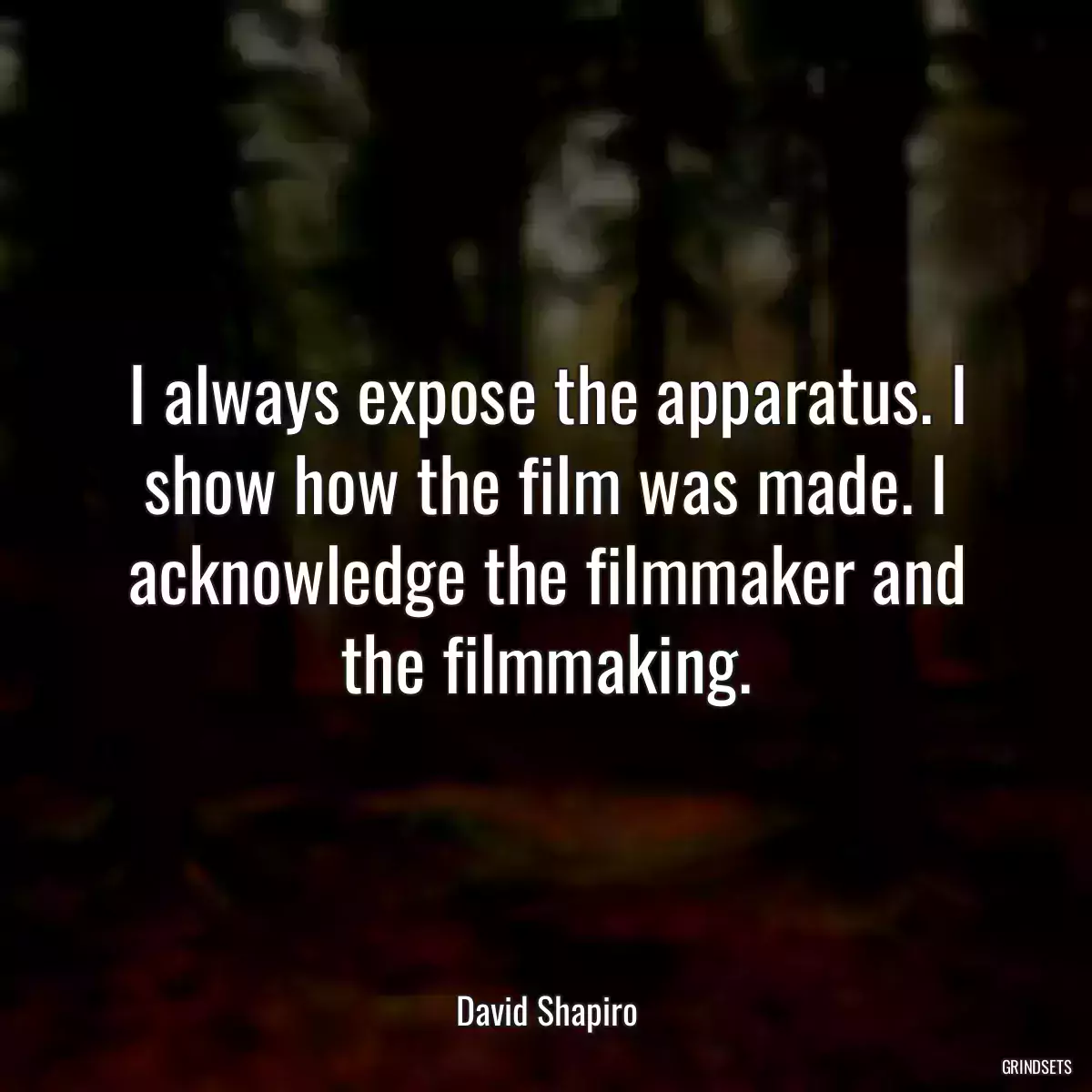 I always expose the apparatus. I show how the film was made. I acknowledge the filmmaker and the filmmaking.