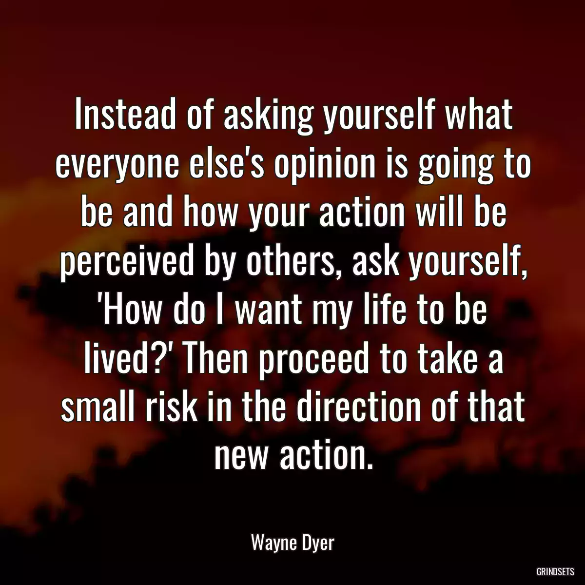 Instead of asking yourself what everyone else\'s opinion is going to be and how your action will be perceived by others, ask yourself, \'How do I want my life to be lived?\' Then proceed to take a small risk in the direction of that new action.