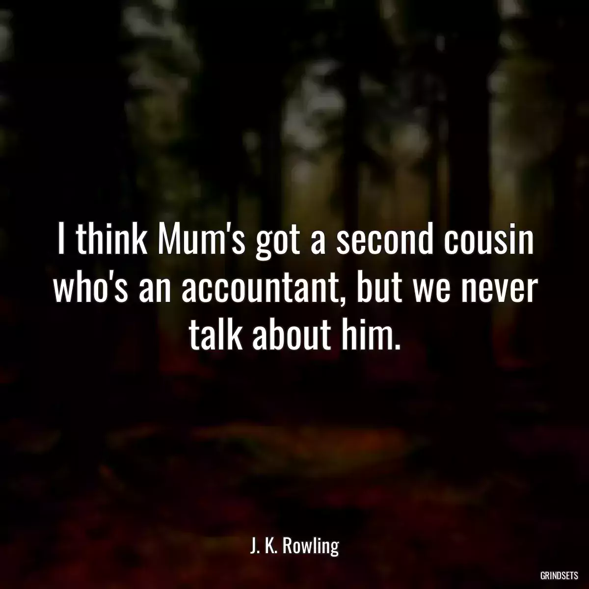 I think Mum\'s got a second cousin who\'s an accountant, but we never talk about him.