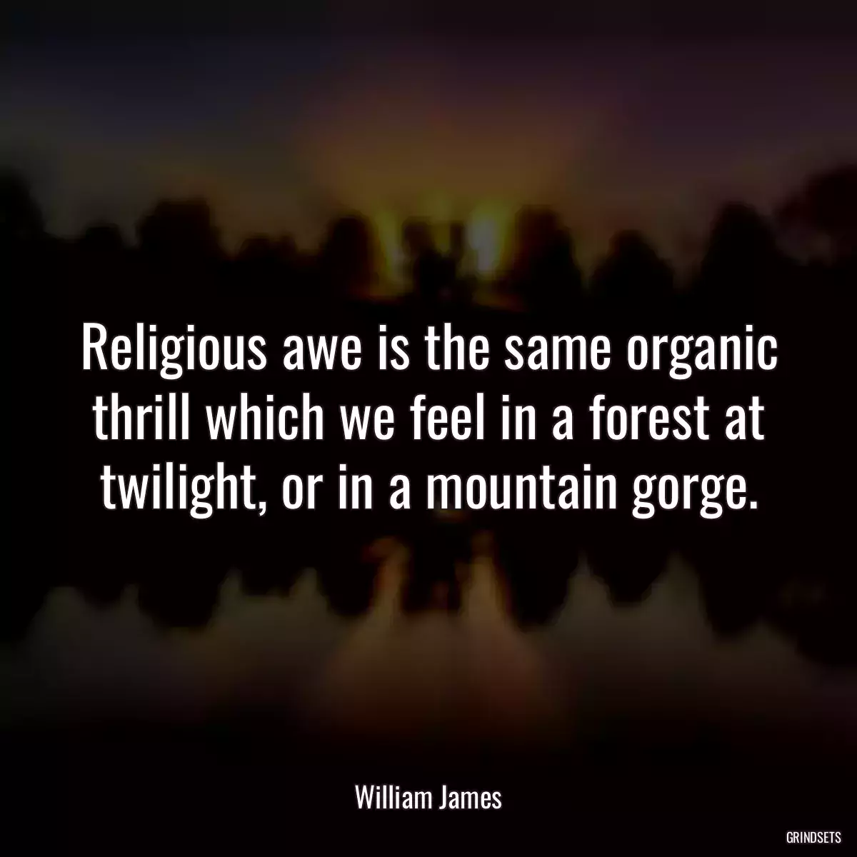 Religious awe is the same organic thrill which we feel in a forest at twilight, or in a mountain gorge.