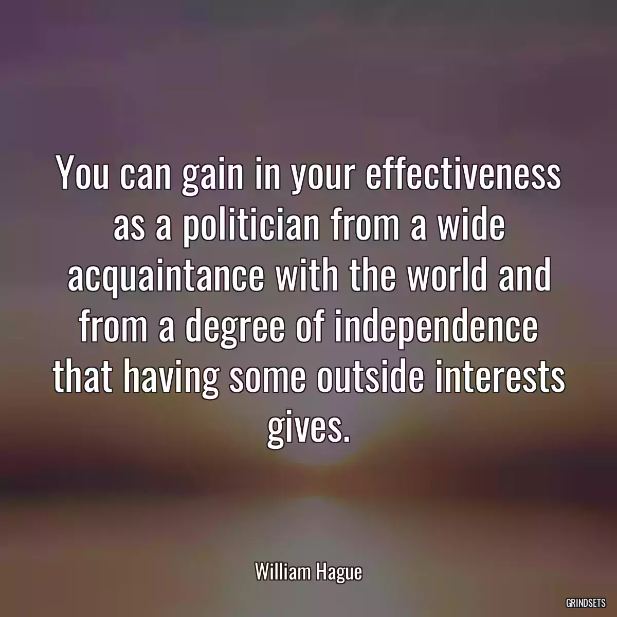 You can gain in your effectiveness as a politician from a wide acquaintance with the world and from a degree of independence that having some outside interests gives.