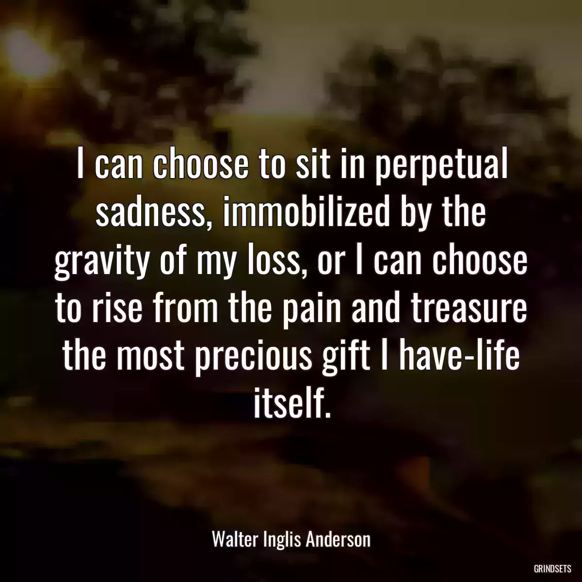 I can choose to sit in perpetual sadness, immobilized by the gravity of my loss, or I can choose to rise from the pain and treasure the most precious gift I have-life itself.