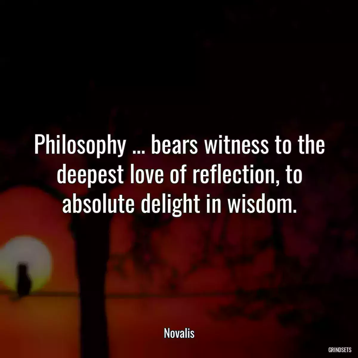 Philosophy ... bears witness to the deepest love of reflection, to absolute delight in wisdom.