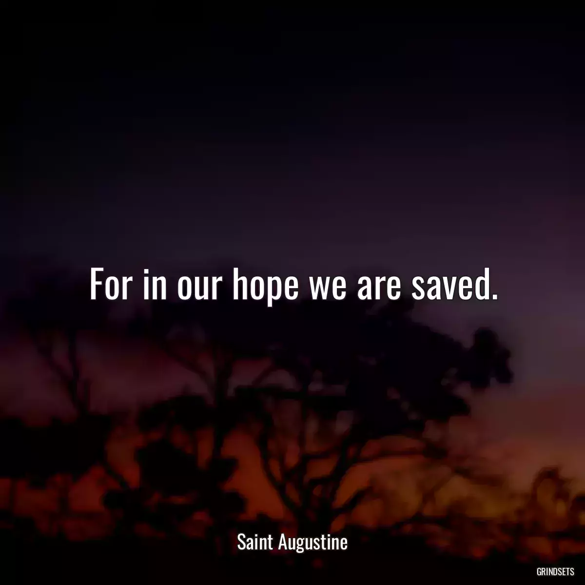 For in our hope we are saved.