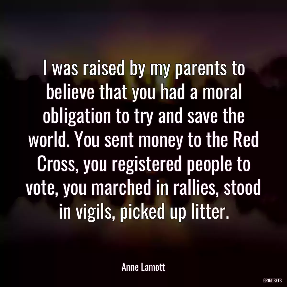 I was raised by my parents to believe that you had a moral obligation to try and save the world. You sent money to the Red Cross, you registered people to vote, you marched in rallies, stood in vigils, picked up litter.