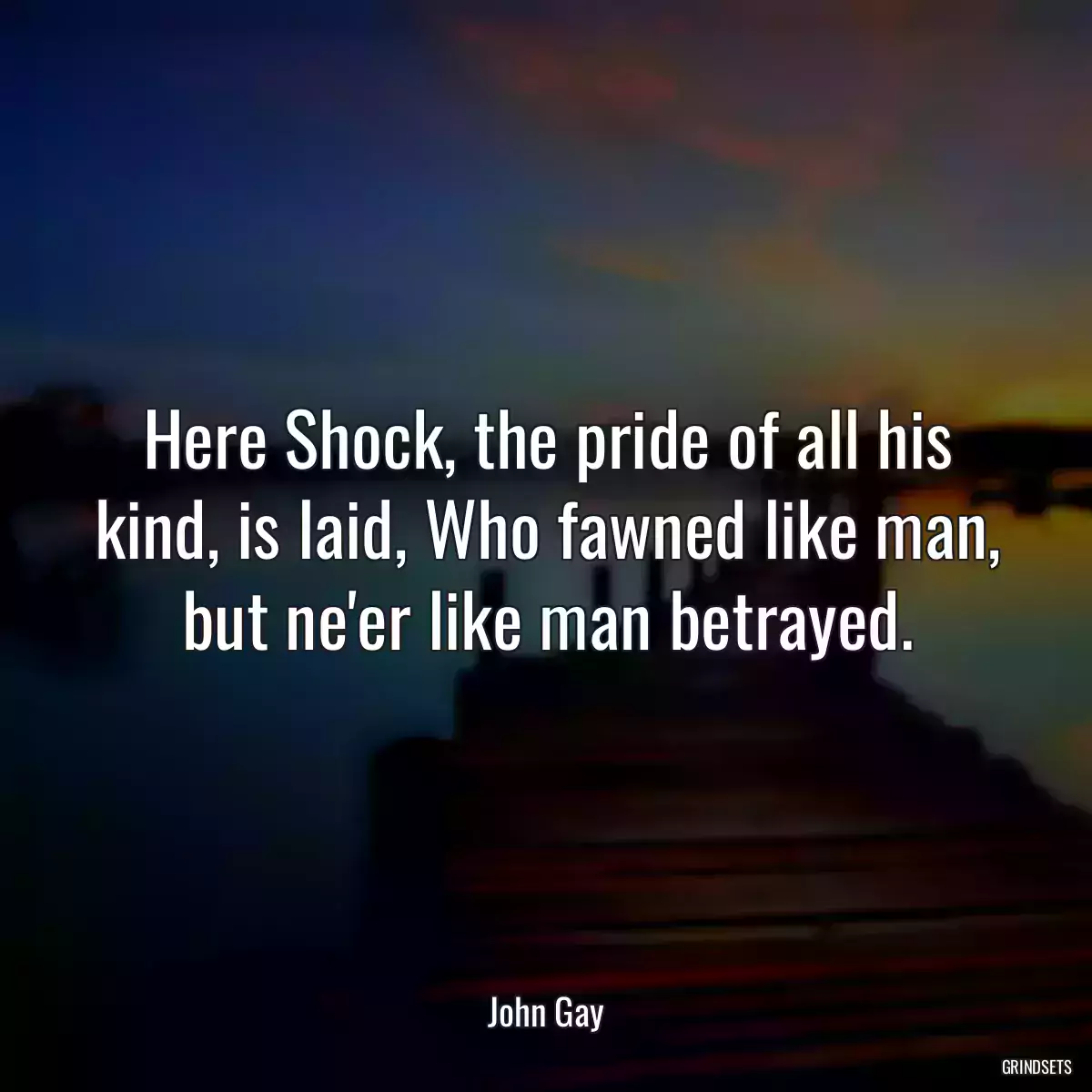 Here Shock, the pride of all his kind, is laid, Who fawned like man, but ne\'er like man betrayed.