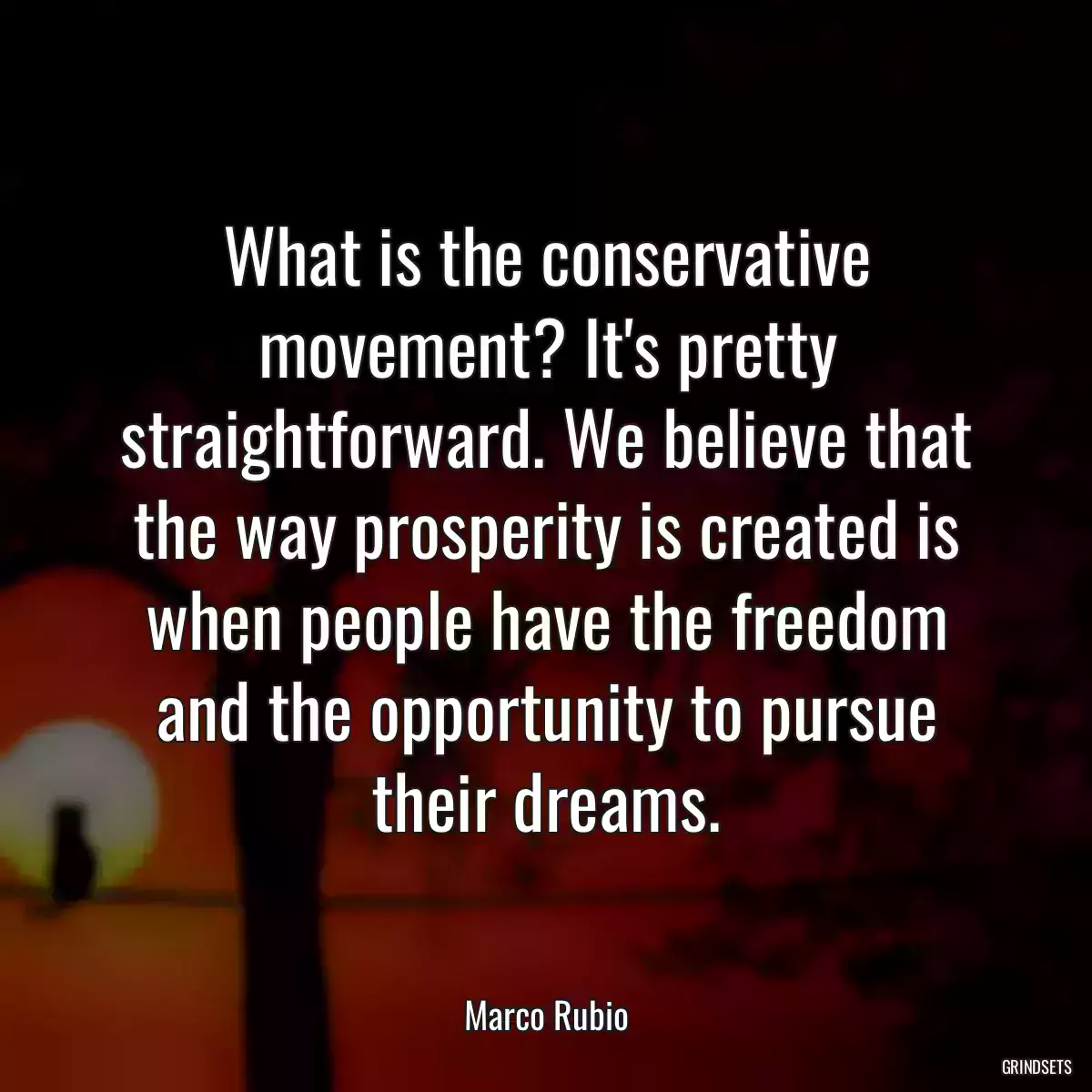 What is the conservative movement? It\'s pretty straightforward. We believe that the way prosperity is created is when people have the freedom and the opportunity to pursue their dreams.