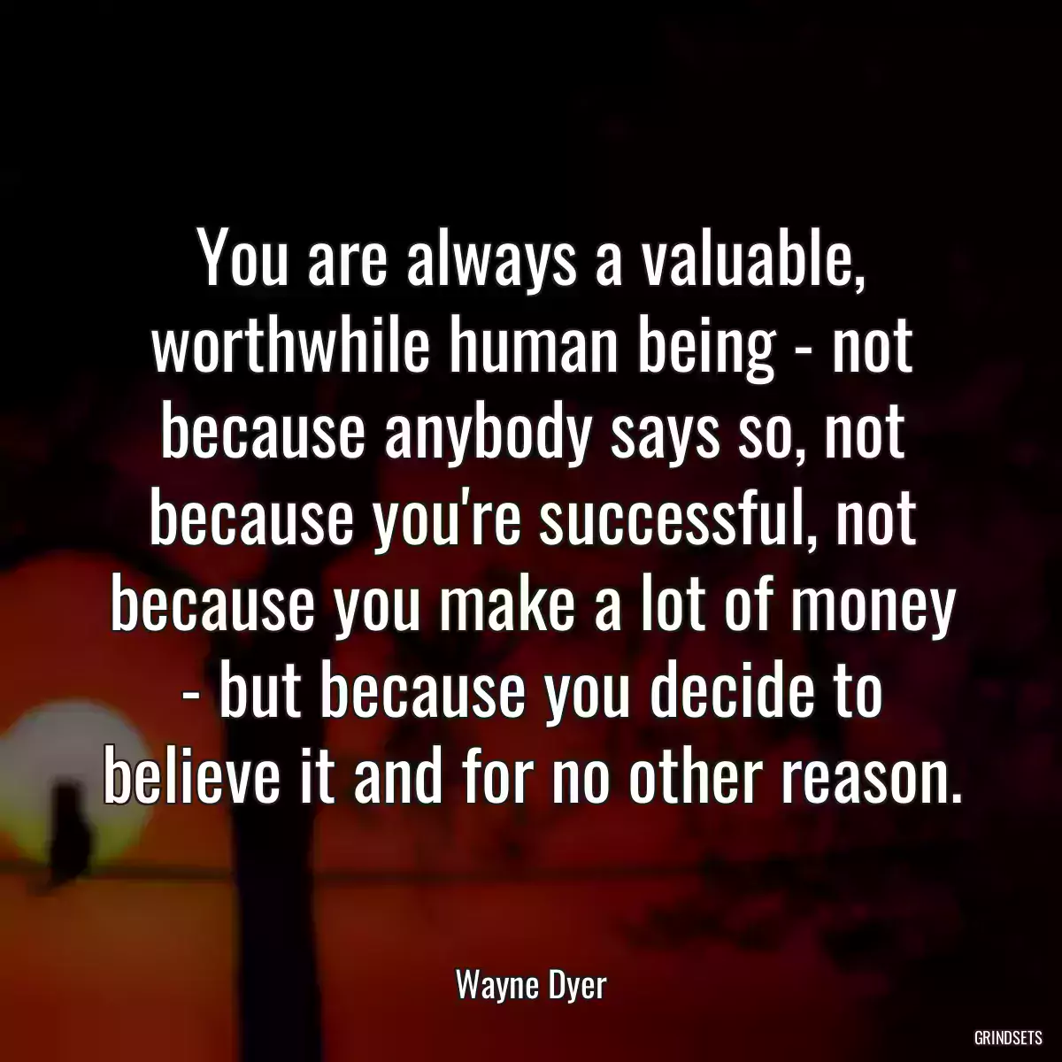 You are always a valuable, worthwhile human being - not because anybody says so, not because you\'re successful, not because you make a lot of money - but because you decide to believe it and for no other reason.