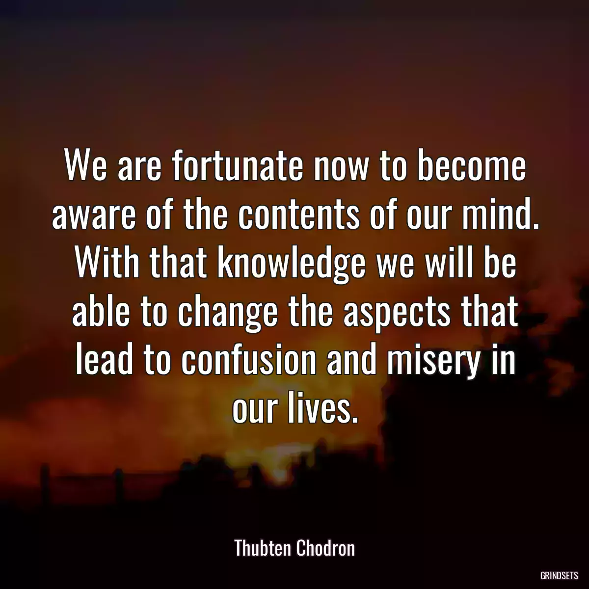 We are fortunate now to become aware of the contents of our mind. With that knowledge we will be able to change the aspects that lead to confusion and misery in our lives.