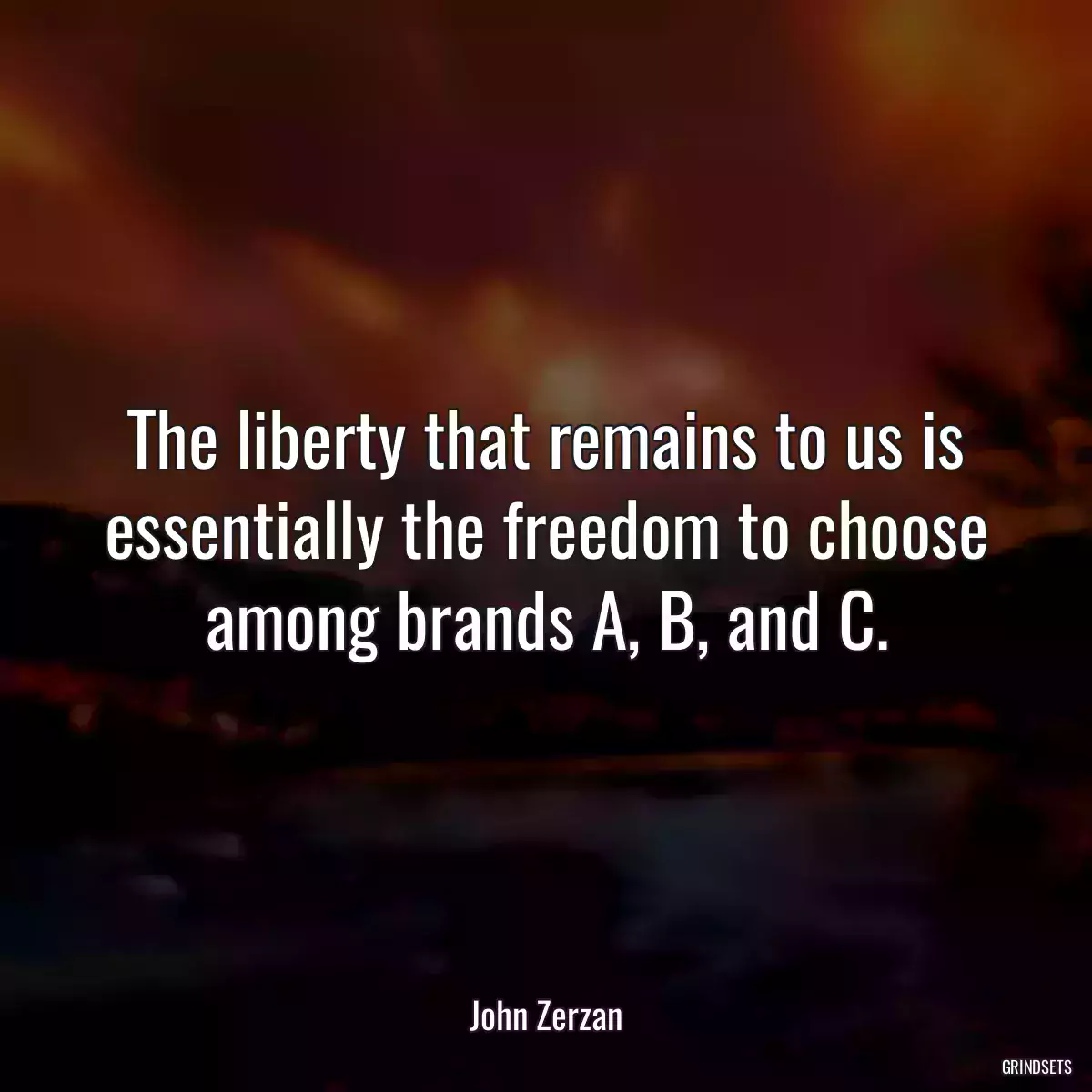 The liberty that remains to us is essentially the freedom to choose among brands A, B, and C.