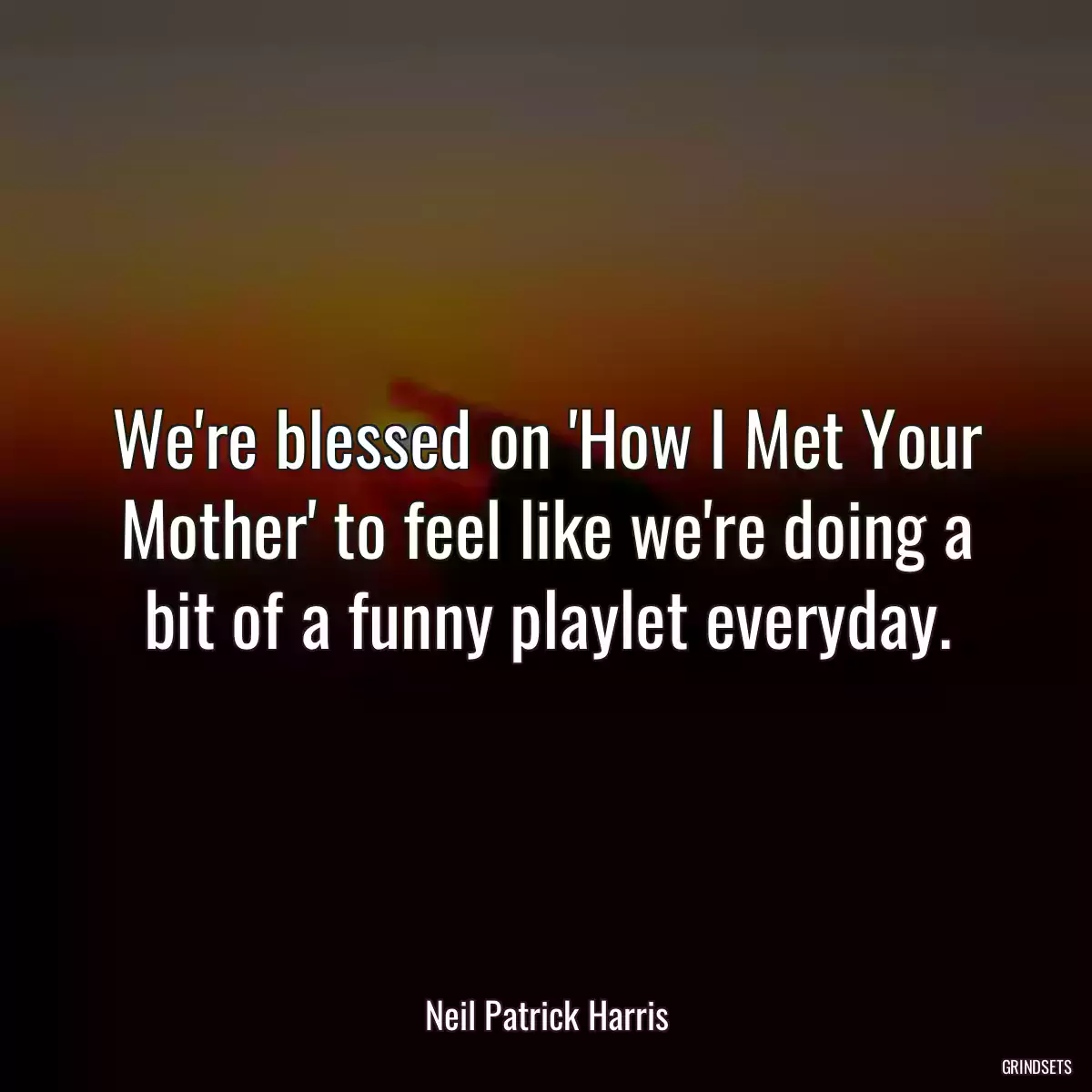 We\'re blessed on \'How I Met Your Mother\' to feel like we\'re doing a bit of a funny playlet everyday.