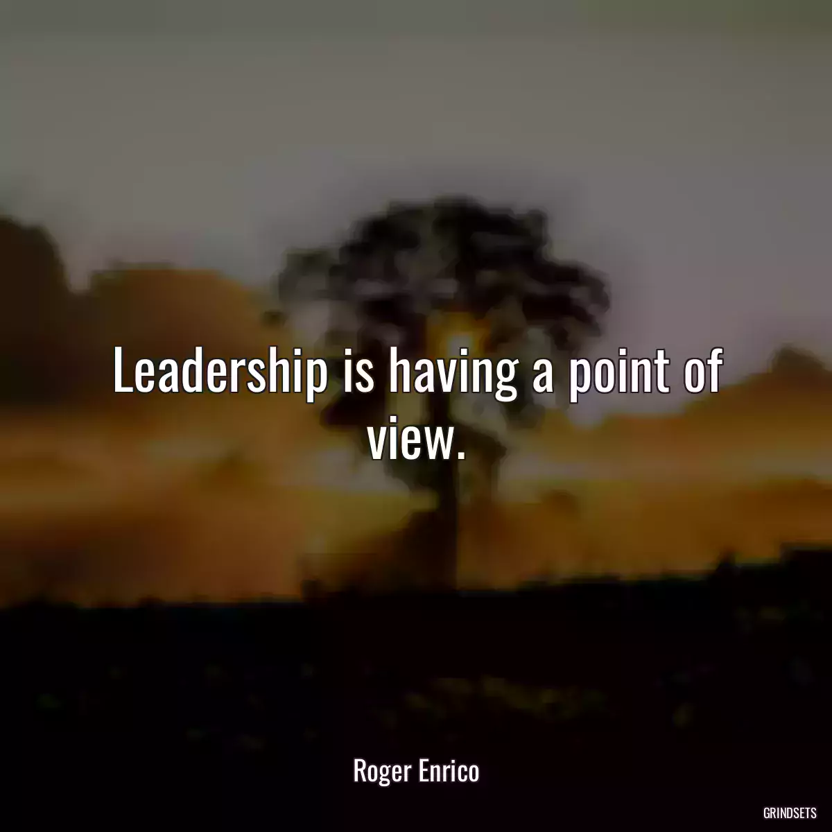 Leadership is having a point of view.