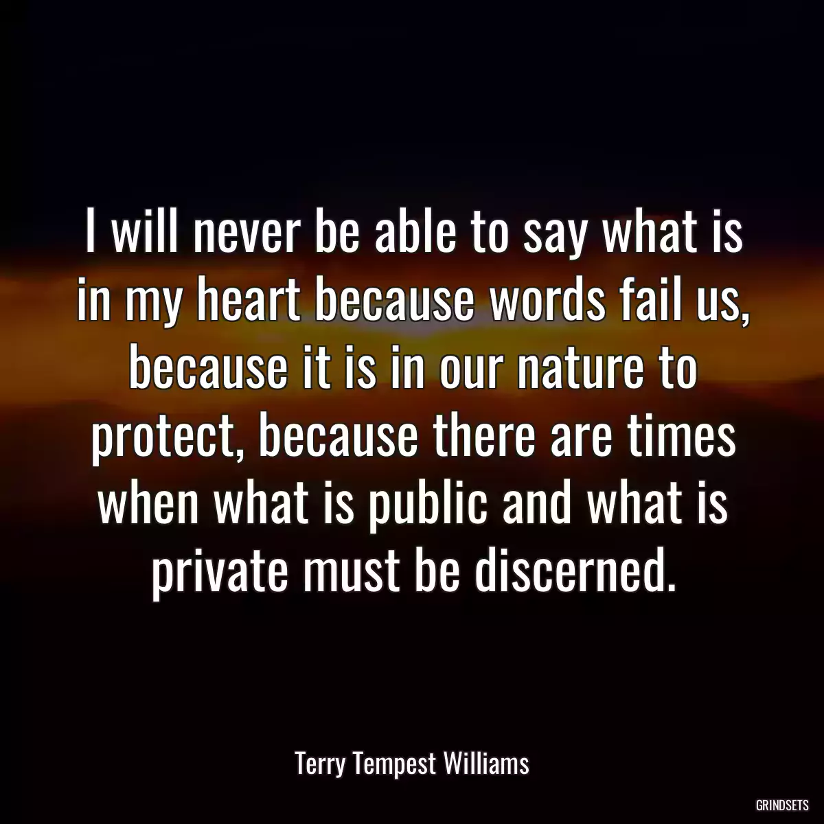 I will never be able to say what is in my heart because words fail us, because it is in our nature to protect, because there are times when what is public and what is private must be discerned.