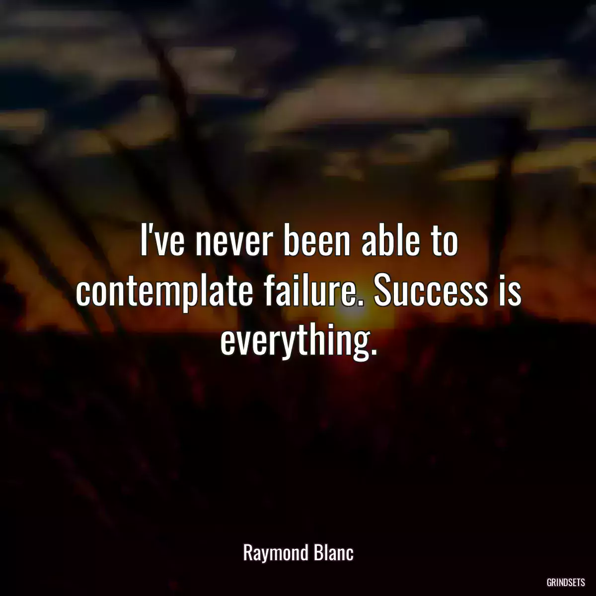 I\'ve never been able to contemplate failure. Success is everything.