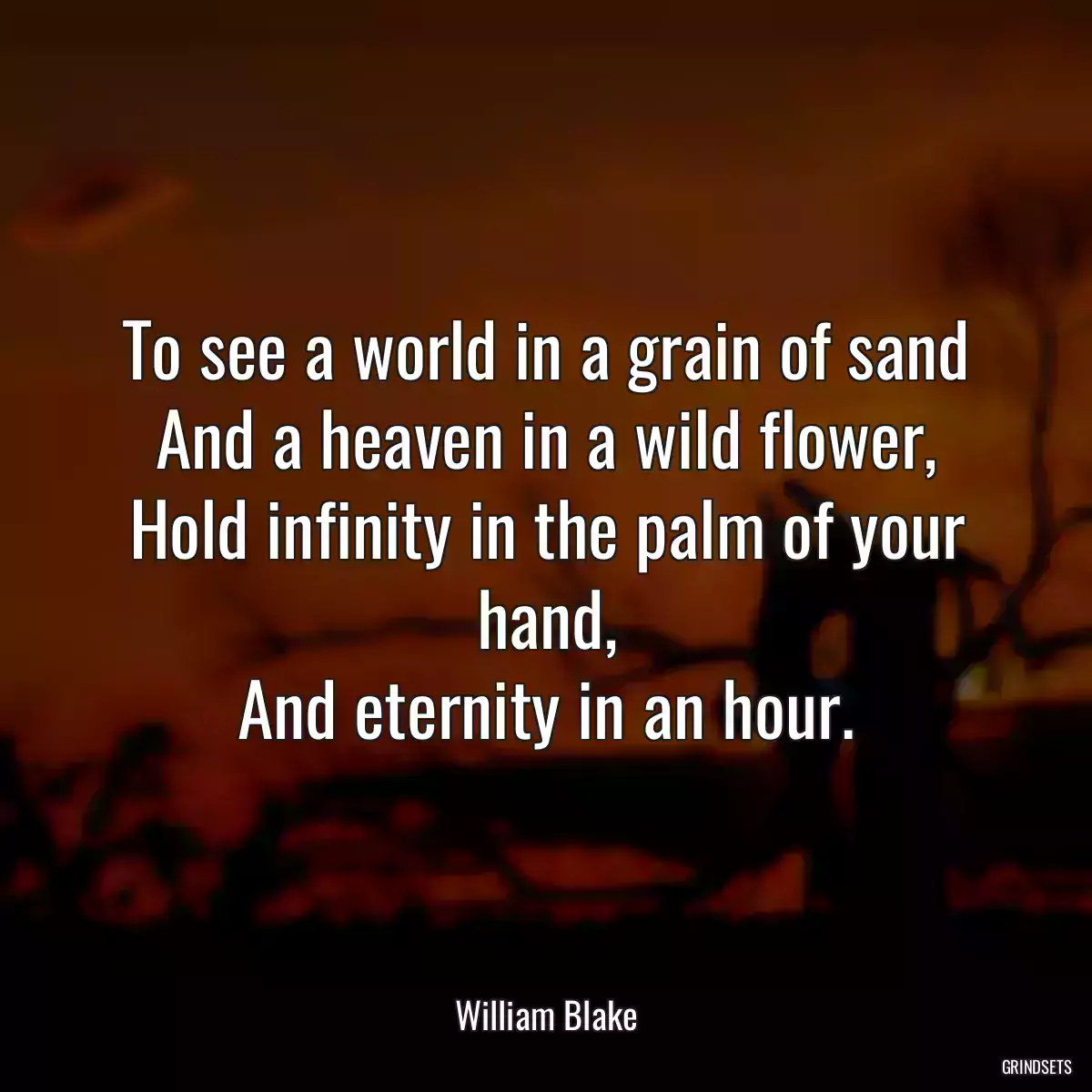 To see a world in a grain of sand
And a heaven in a wild flower,
Hold infinity in the palm of your hand,
And eternity in an hour.