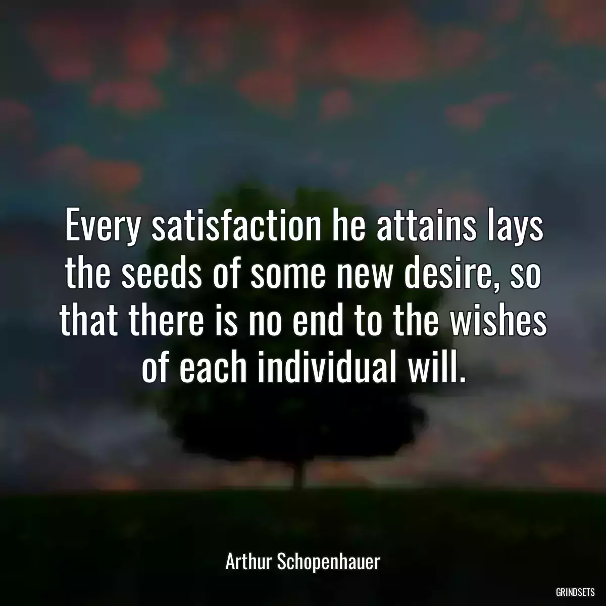 Every satisfaction he attains lays the seeds of some new desire, so that there is no end to the wishes of each individual will.