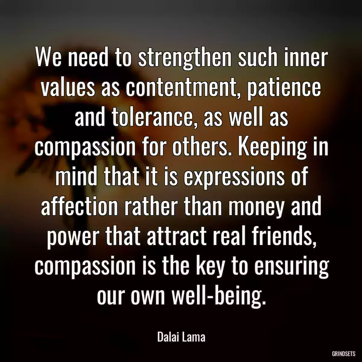 We need to strengthen such inner values as contentment, patience and tolerance, as well as compassion for others. Keeping in mind that it is expressions of affection rather than money and power that attract real friends, compassion is the key to ensuring our own well-being.