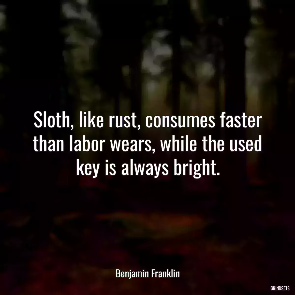 Sloth, like rust, consumes faster than labor wears, while the used key is always bright.