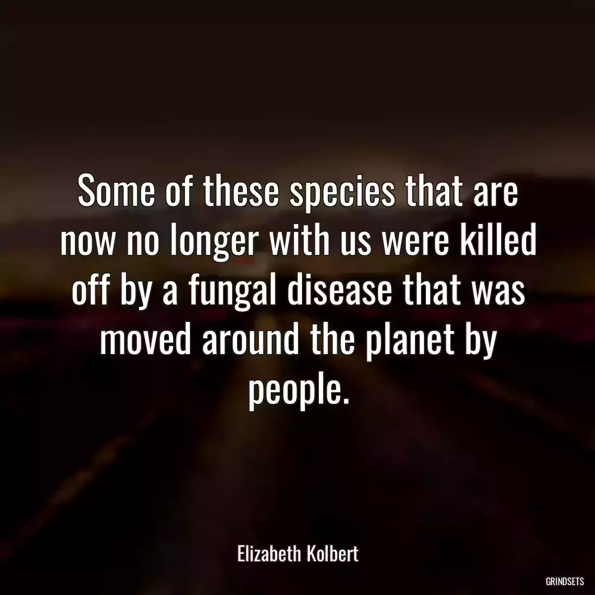 Some of these species that are now no longer with us were killed off by a fungal disease that was moved around the planet by people.