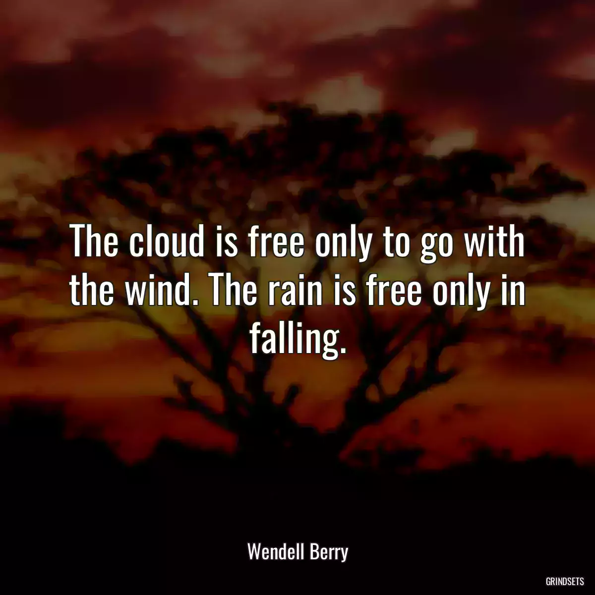 The cloud is free only to go with the wind. The rain is free only in falling.