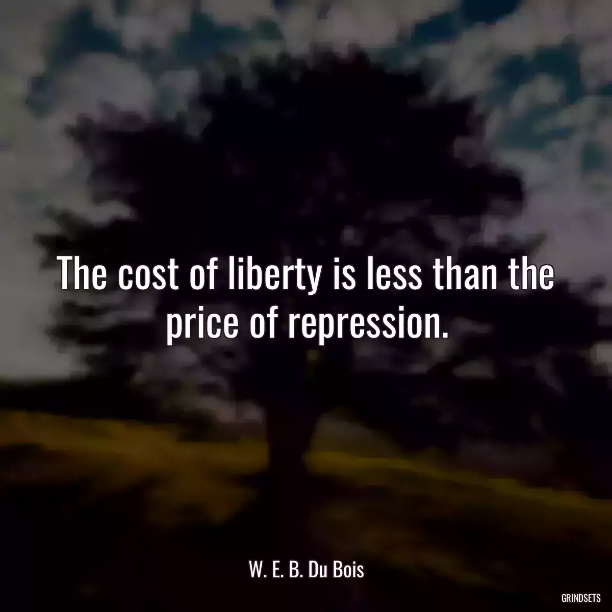 The cost of liberty is less than the price of repression.