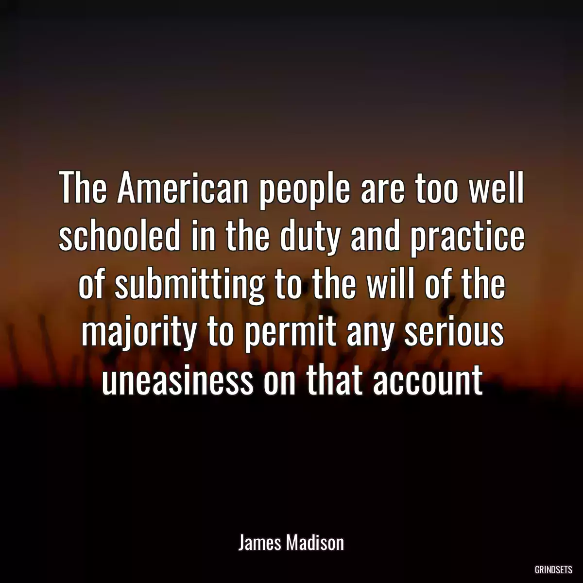 The American people are too well schooled in the duty and practice of submitting to the will of the majority to permit any serious uneasiness on that account