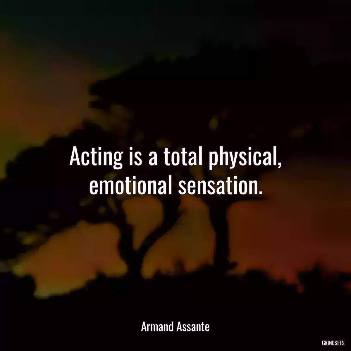 Acting is a total physical, emotional sensation.