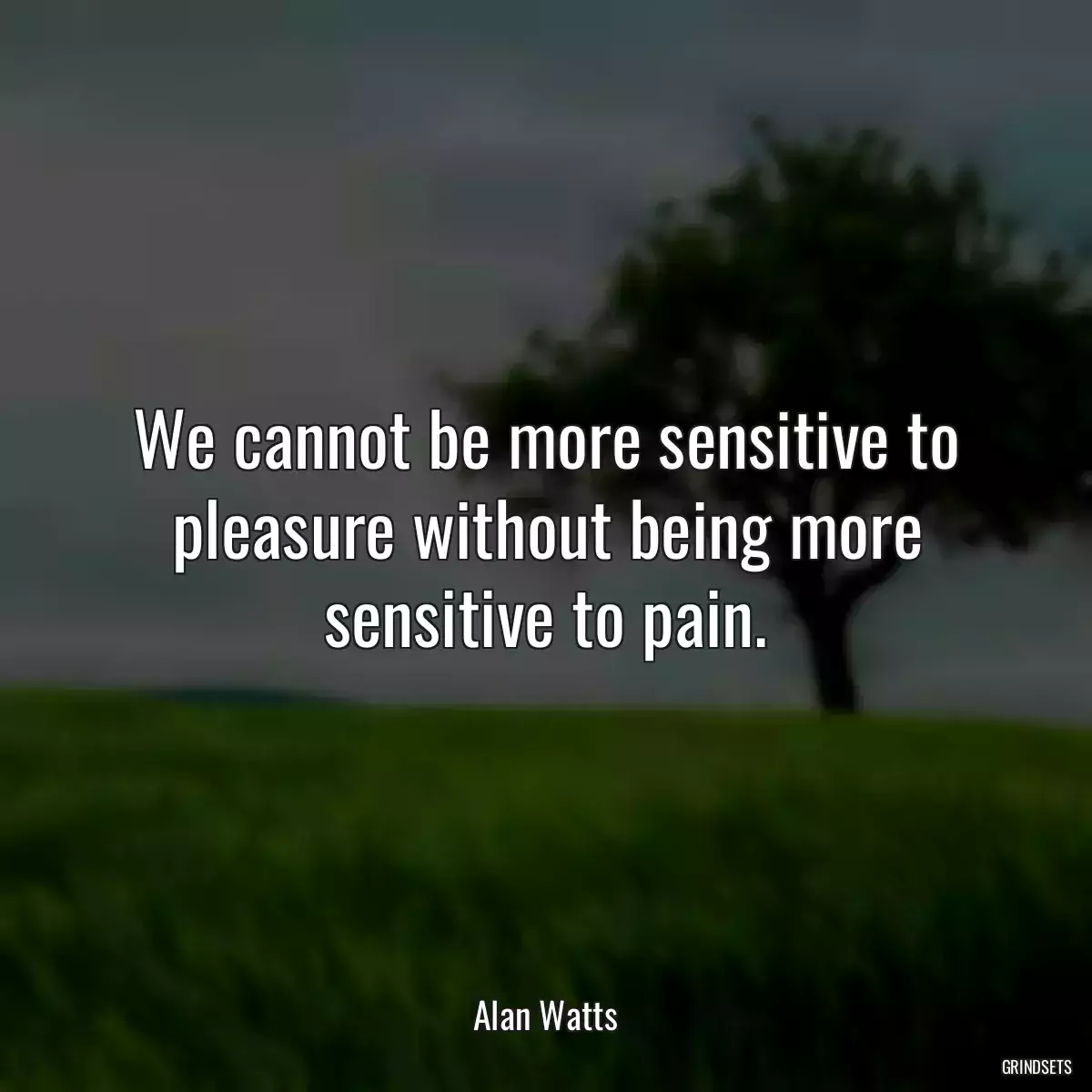 We cannot be more sensitive to pleasure without being more sensitive to pain.