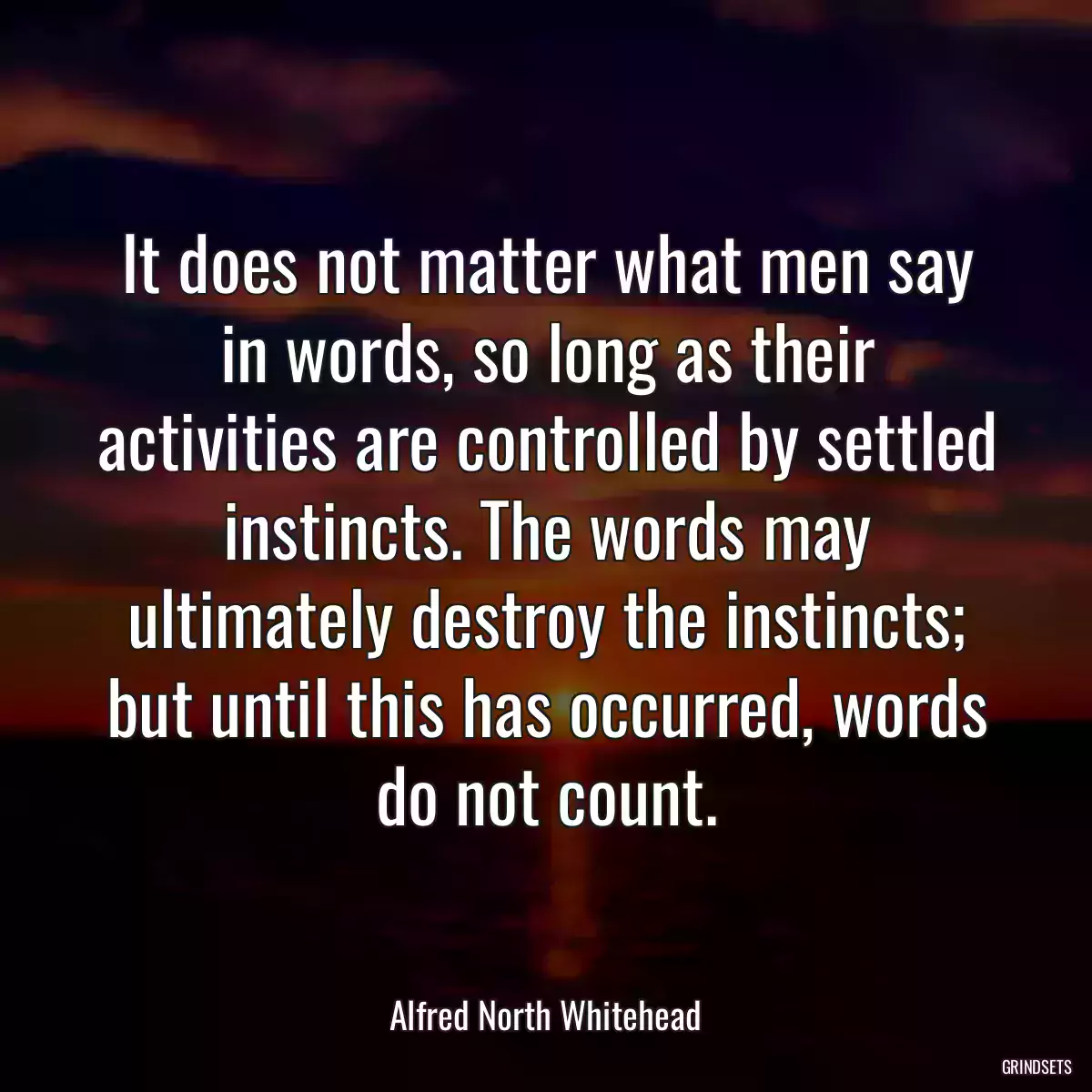 It does not matter what men say in words, so long as their activities are controlled by settled instincts. The words may ultimately destroy the instincts; but until this has occurred, words do not count.