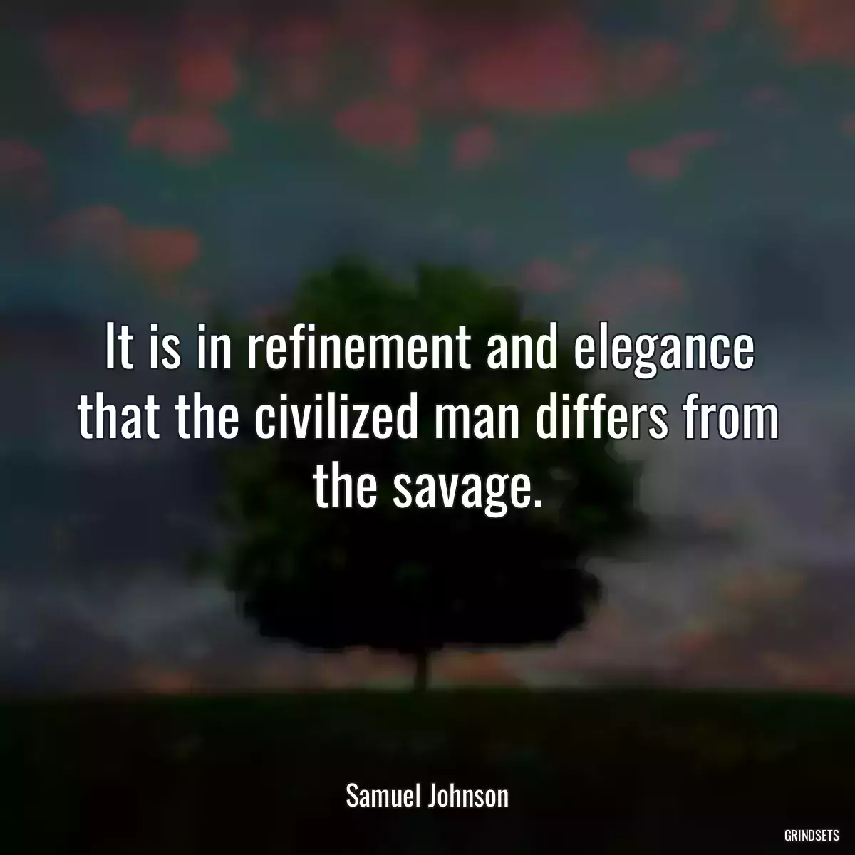 It is in refinement and elegance that the civilized man differs from the savage.