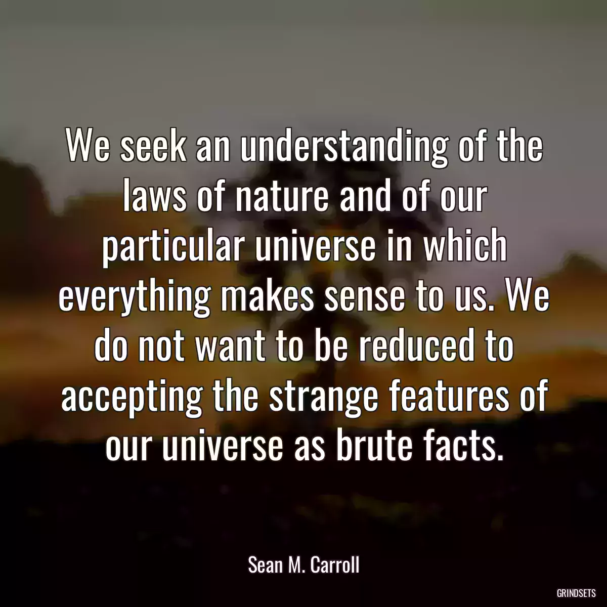 We seek an understanding of the laws of nature and of our particular universe in which everything makes sense to us. We do not want to be reduced to accepting the strange features of our universe as brute facts.