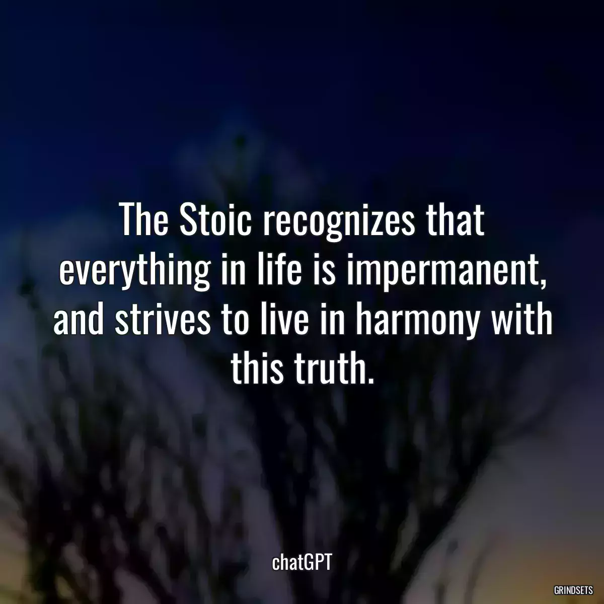 The Stoic recognizes that everything in life is impermanent, and strives to live in harmony with this truth.