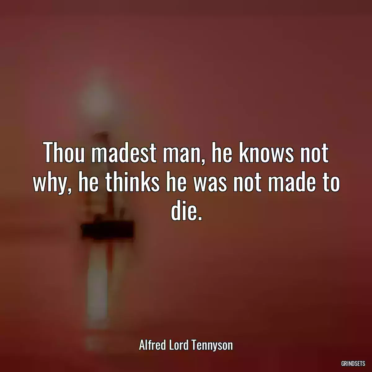 Thou madest man, he knows not why, he thinks he was not made to die.