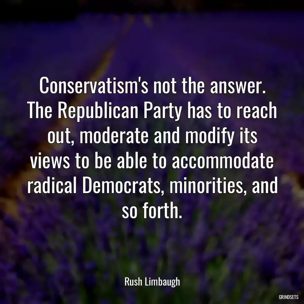 Conservatism\'s not the answer. The Republican Party has to reach out, moderate and modify its views to be able to accommodate radical Democrats, minorities, and so forth.