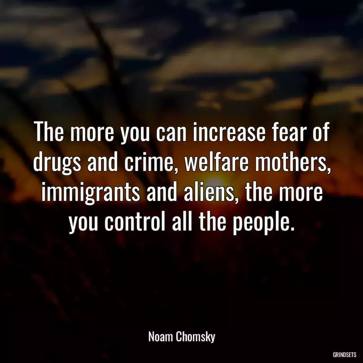 The more you can increase fear of drugs and crime, welfare mothers, immigrants and aliens, the more you control all the people.