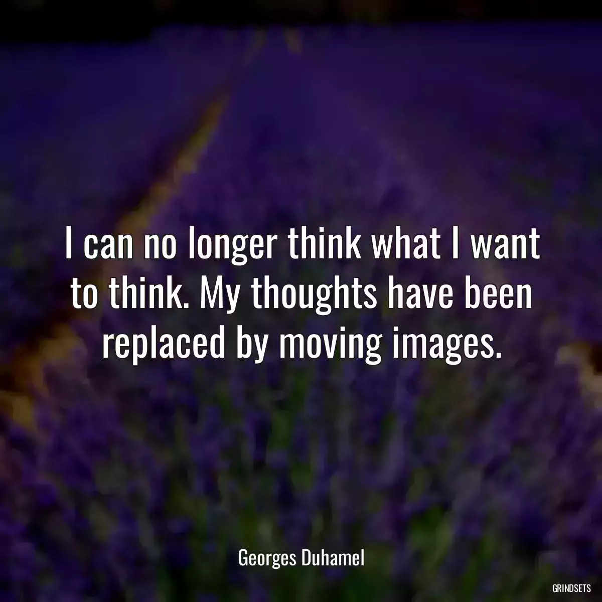 I can no longer think what I want to think. My thoughts have been replaced by moving images.