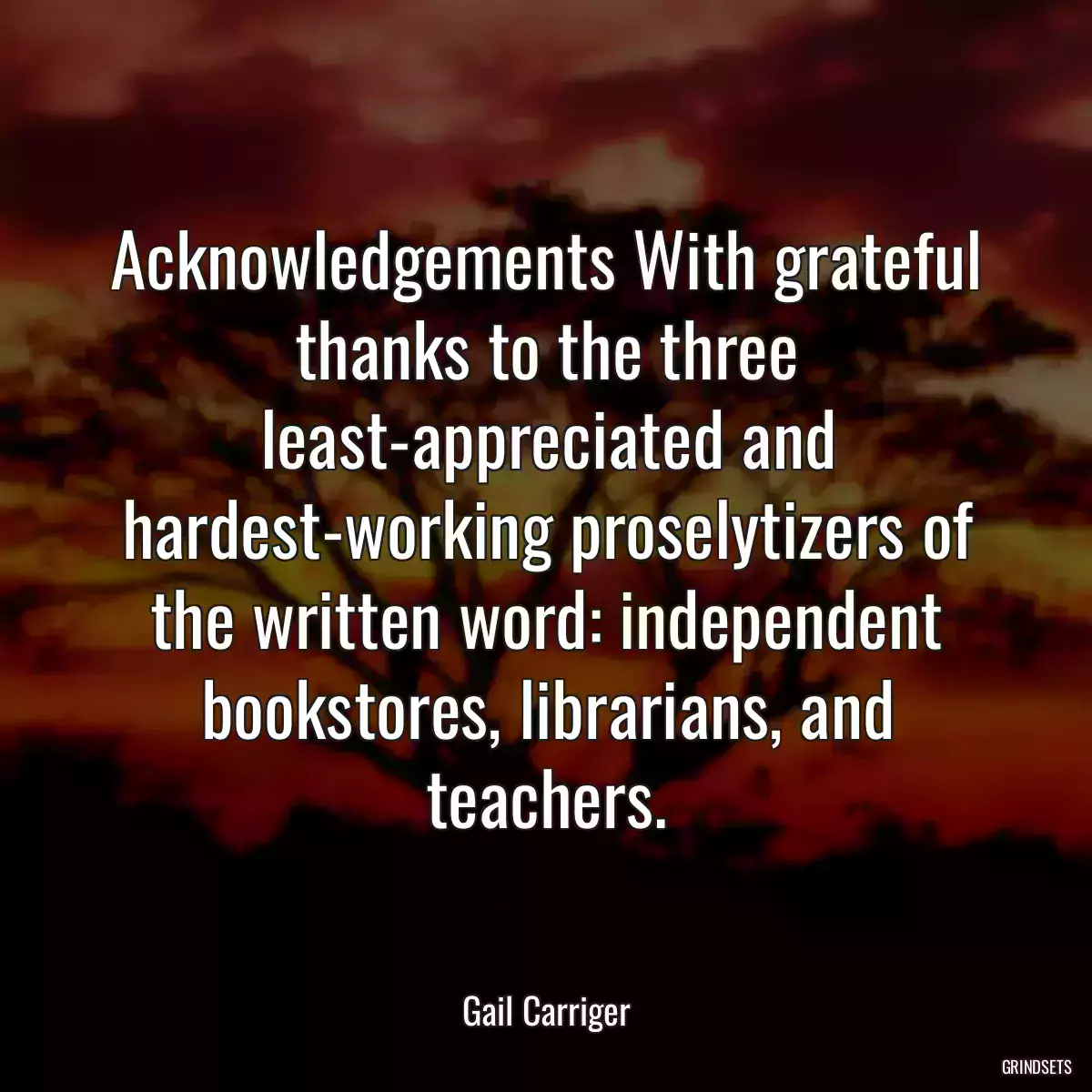 Acknowledgements With grateful thanks to the three least-appreciated and hardest-working proselytizers of the written word: independent bookstores, librarians, and teachers.