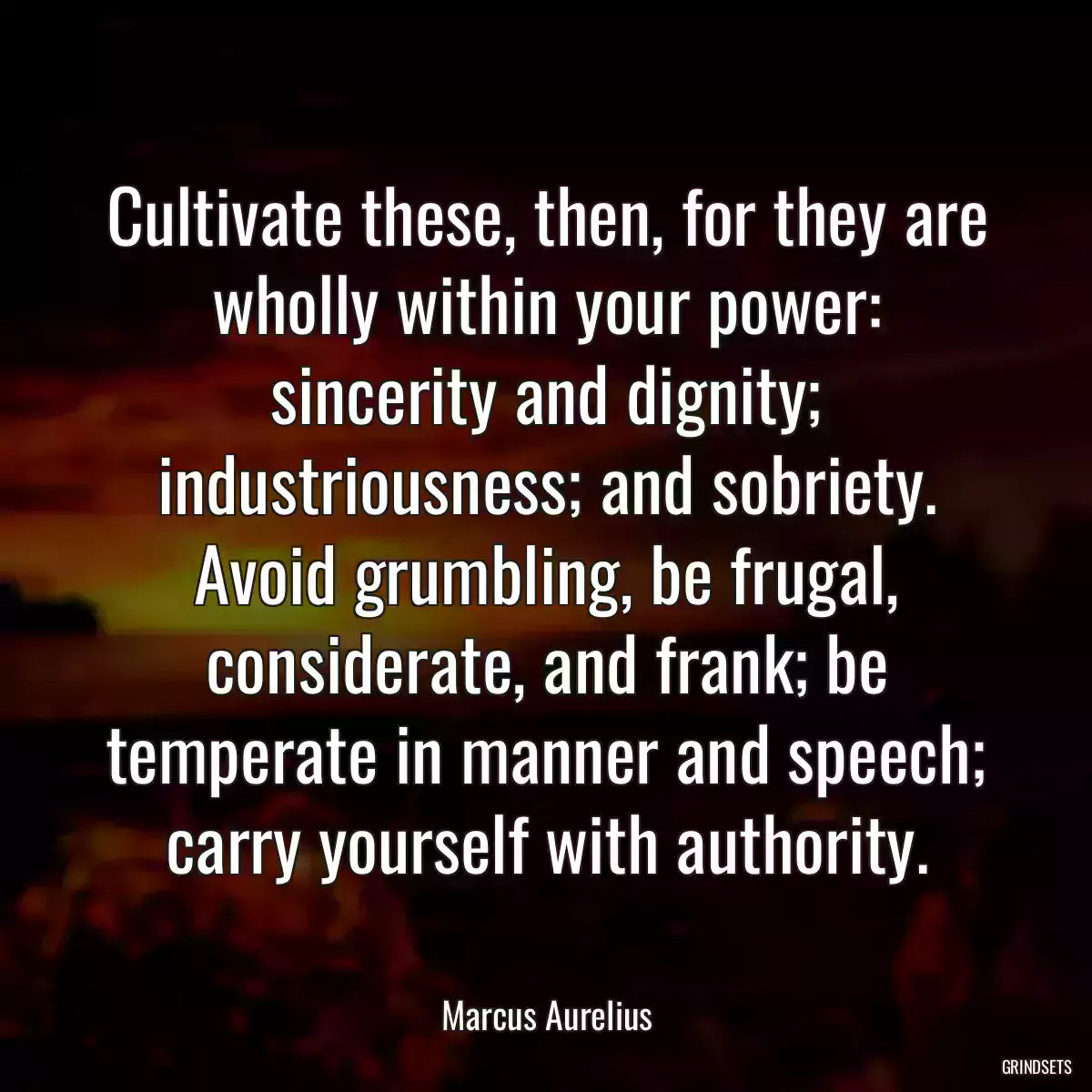 Cultivate these, then, for they are wholly within your power: sincerity and dignity; industriousness; and sobriety. Avoid grumbling, be frugal, considerate, and frank; be temperate in manner and speech; carry yourself with authority.