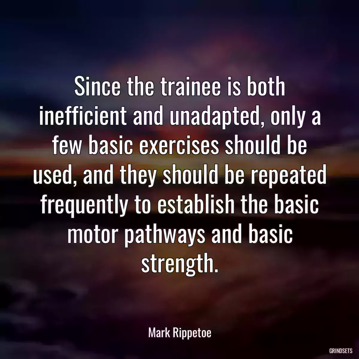 Since the trainee is both inefficient and unadapted, only a few basic exercises should be used, and they should be repeated frequently to establish the basic motor pathways and basic strength.