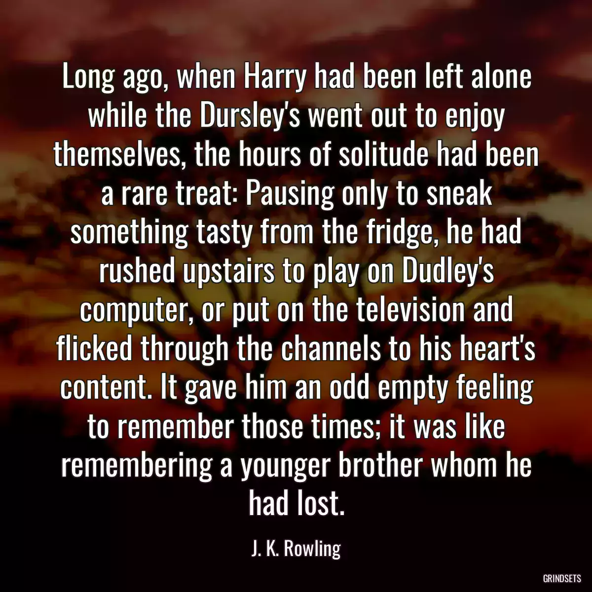 Long ago, when Harry had been left alone while the Dursley\'s went out to enjoy themselves, the hours of solitude had been a rare treat: Pausing only to sneak something tasty from the fridge, he had rushed upstairs to play on Dudley\'s computer, or put on the television and flicked through the channels to his heart\'s content. It gave him an odd empty feeling to remember those times; it was like remembering a younger brother whom he had lost.