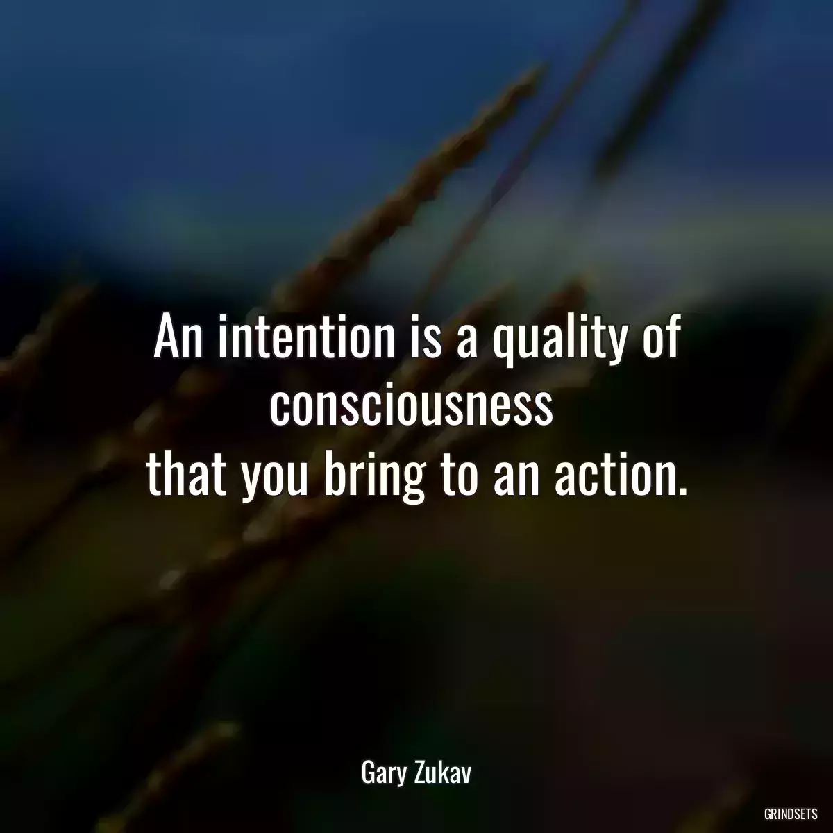 An intention is a quality of consciousness 
that you bring to an action.