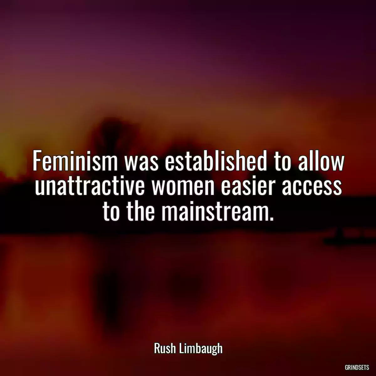 Feminism was established to allow unattractive women easier access to the mainstream.