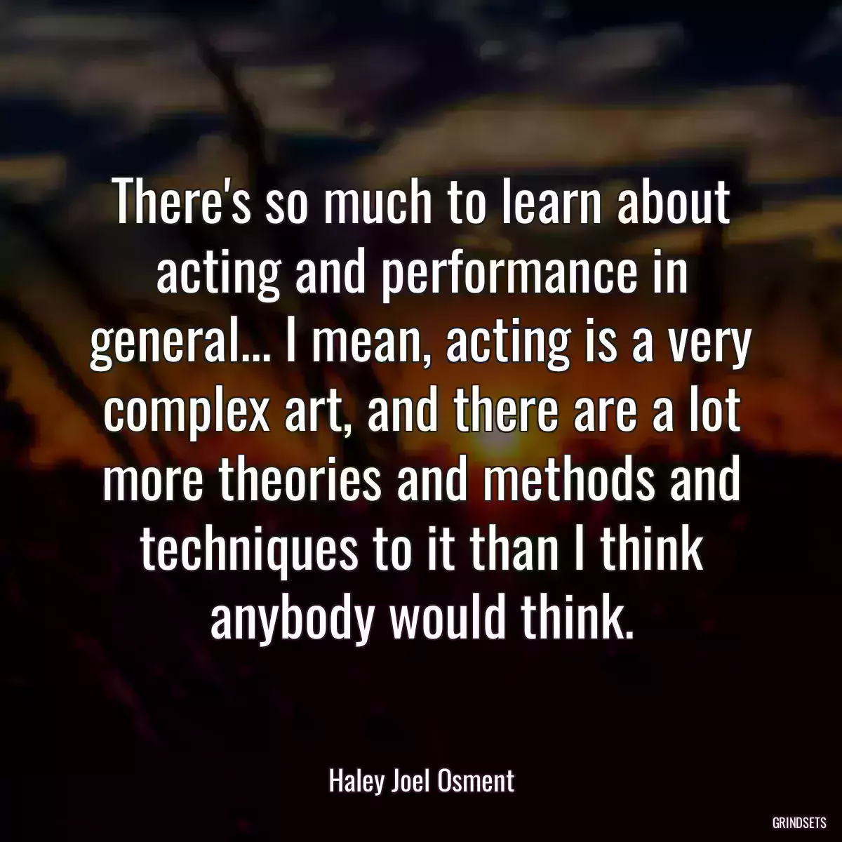 There\'s so much to learn about acting and performance in general... I mean, acting is a very complex art, and there are a lot more theories and methods and techniques to it than I think anybody would think.