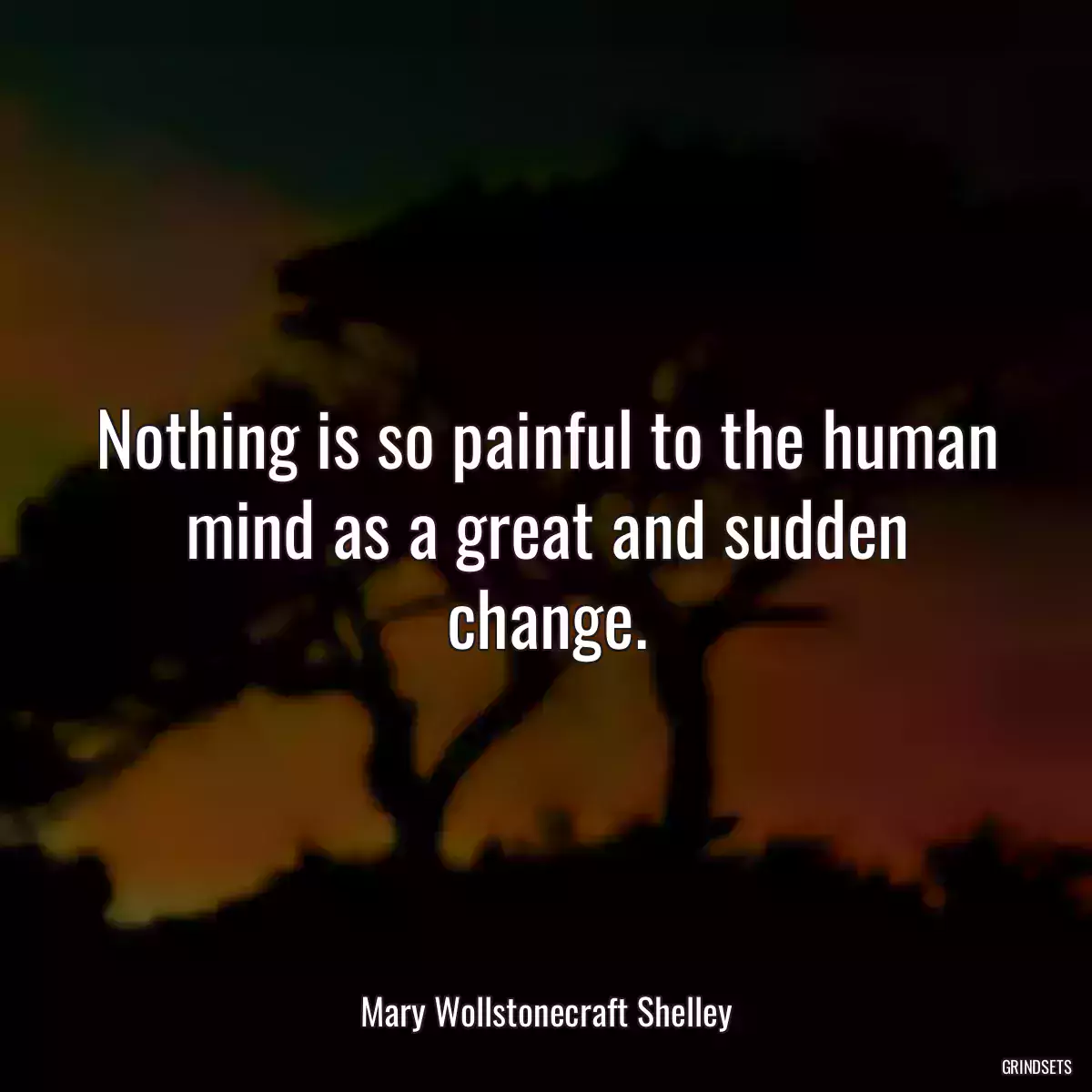 Nothing is so painful to the human mind as a great and sudden change.