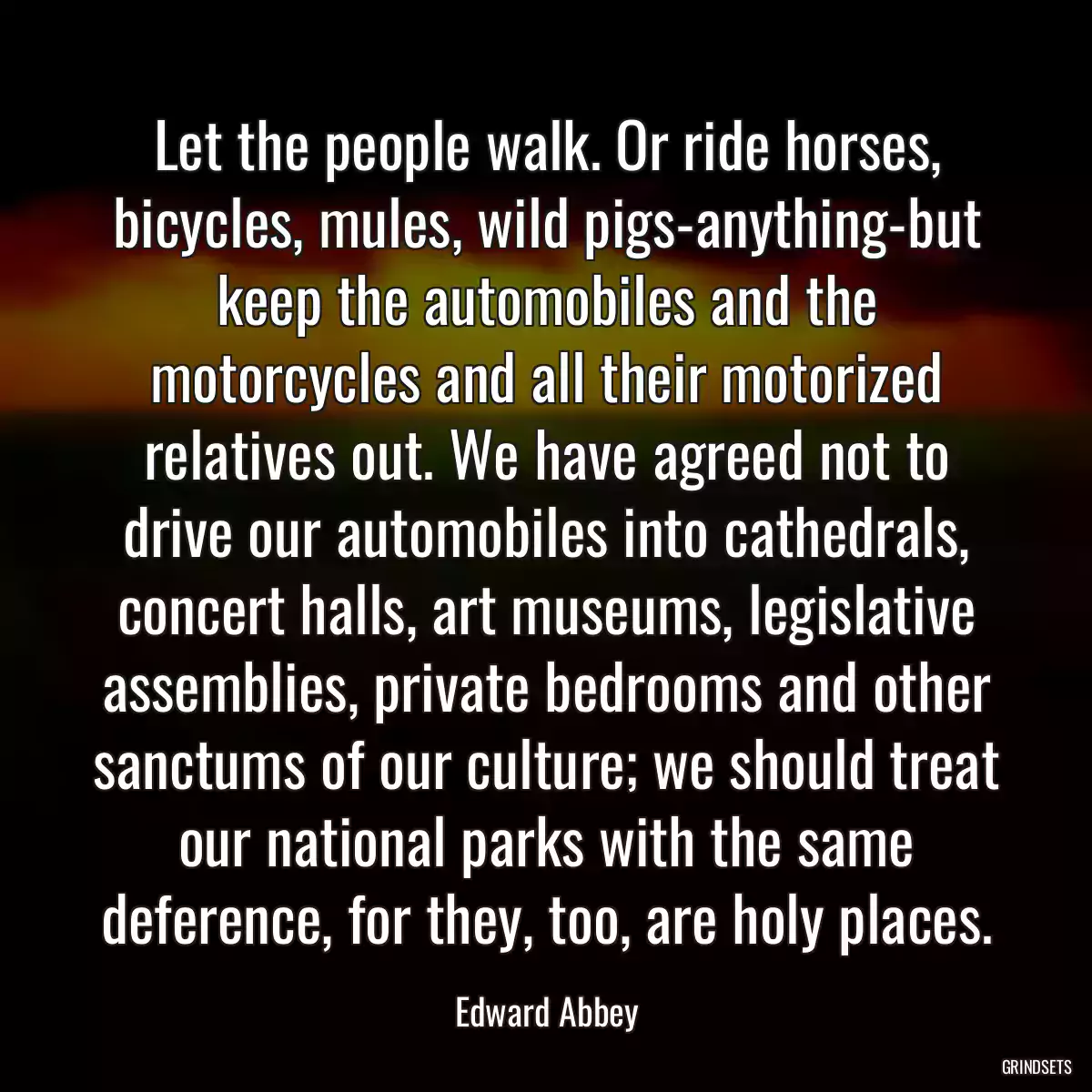 Let the people walk. Or ride horses, bicycles, mules, wild pigs-anything-but keep the automobiles and the motorcycles and all their motorized relatives out. We have agreed not to drive our automobiles into cathedrals, concert halls, art museums, legislative assemblies, private bedrooms and other sanctums of our culture; we should treat our national parks with the same deference, for they, too, are holy places.