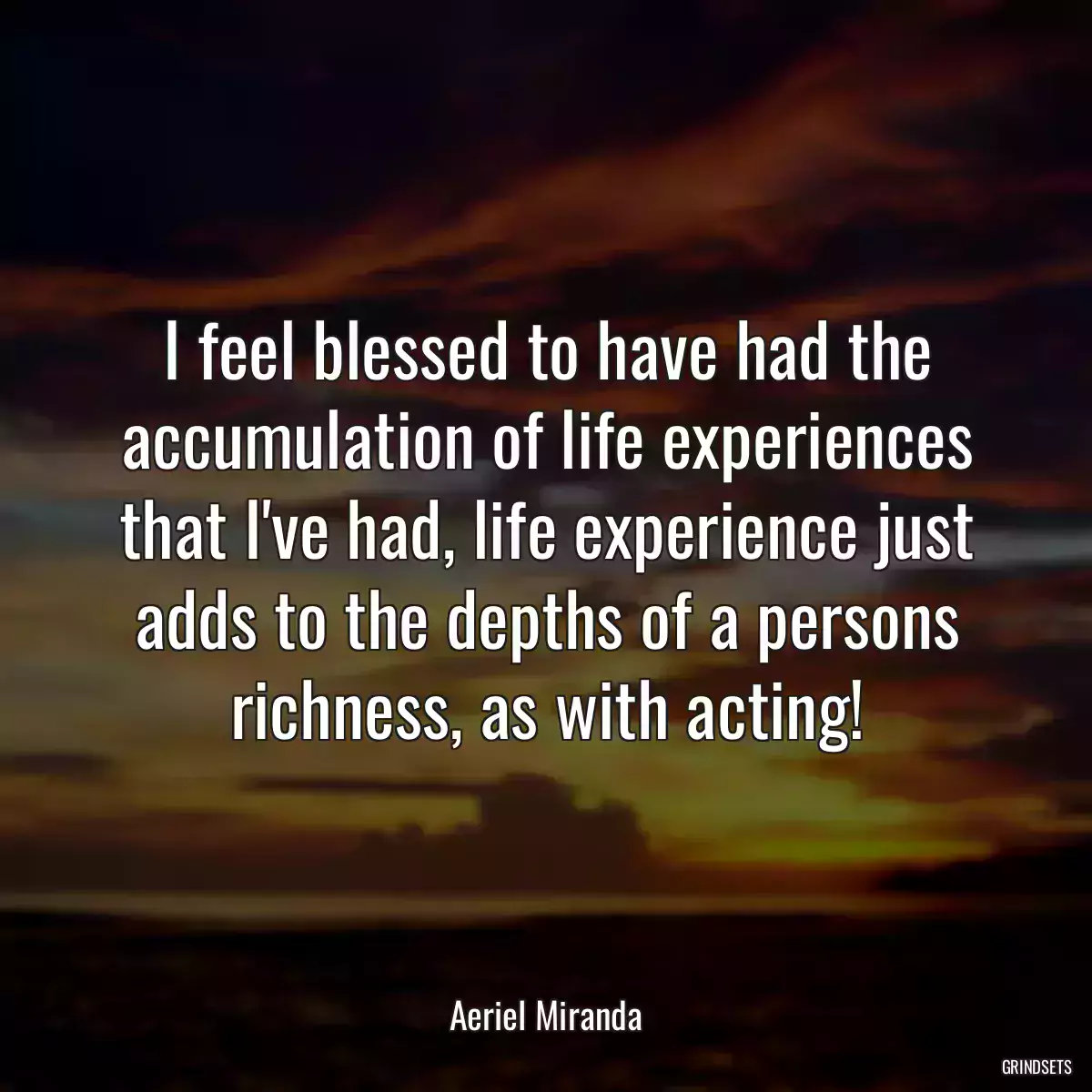 I feel blessed to have had the accumulation of life experiences that I\'ve had, life experience just adds to the depths of a persons richness, as with acting!