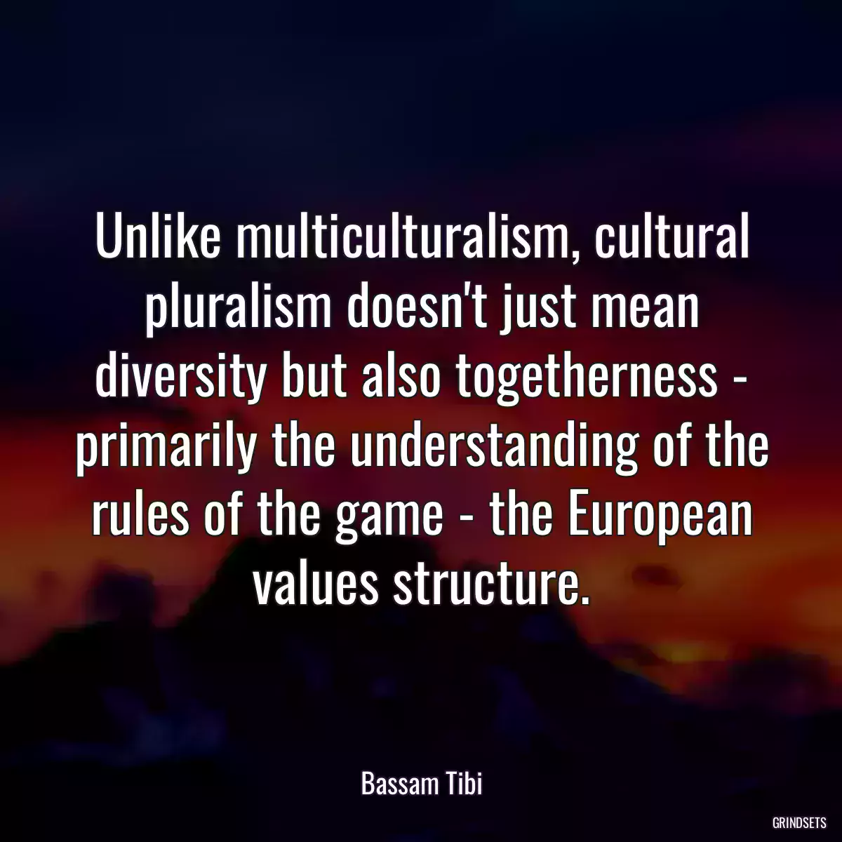 Unlike multiculturalism, cultural pluralism doesn\'t just mean diversity but also togetherness - primarily the understanding of the rules of the game - the European values structure.